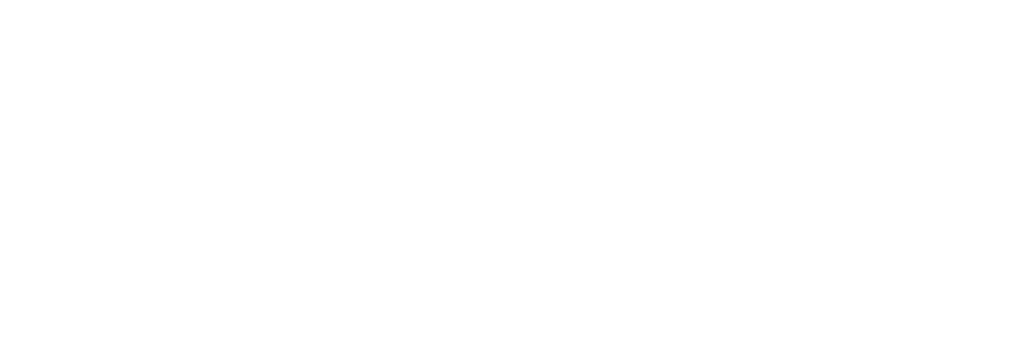 WishMC Logo